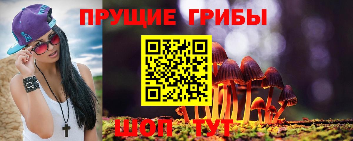 Псилоцибиновые грибы мухоморы Ярцево