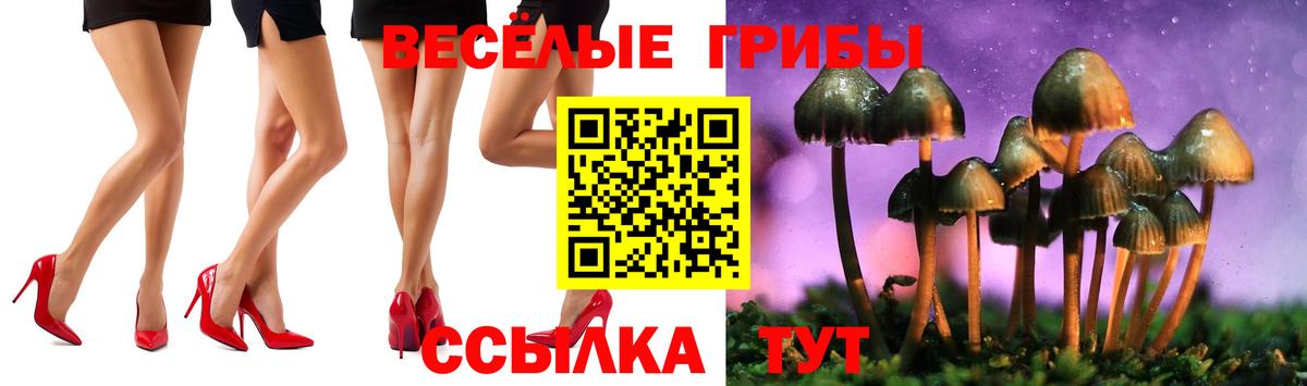 Галлюциногенные грибы Magic Shrooms  купить закладку  Ярцево  Вход с VPN 